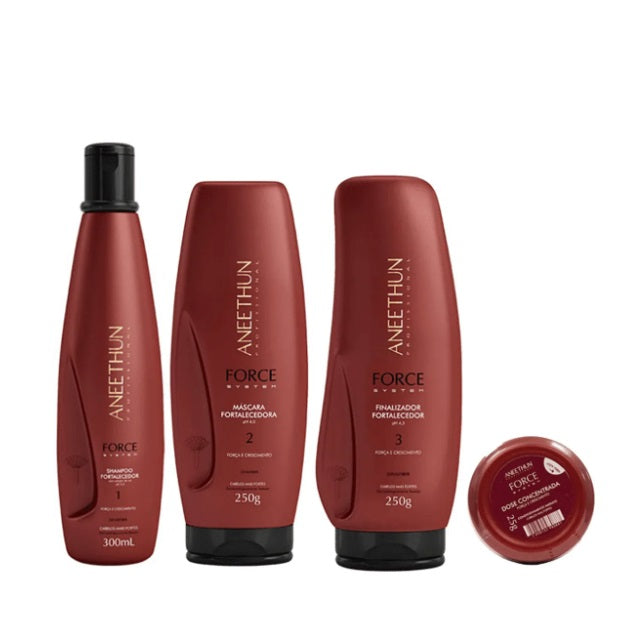 Aneethun Hair Care Kits Force System Hair Strength Recovery Booster Treatment Kit 4 Itens - Aneethun